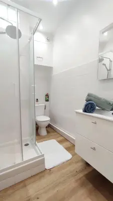 a white bathroom with a shower and a toilet at Appartement port et vieux Nice Direct from Airport by tramway in Nice