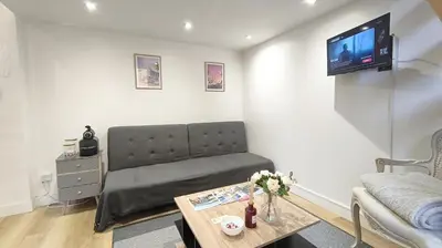 a living room with a couch and a tv on a wall at Appartement port et vieux Nice Direct from Airport by tramway in Nice
