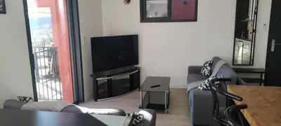 a living room with two couches and a flat screen tv at T2 vue imprenable au calme in Nice
