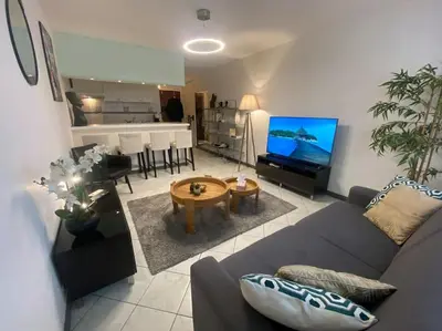 a living room with a couch and a table and a television at Grand Studio très bien situé! in Nice