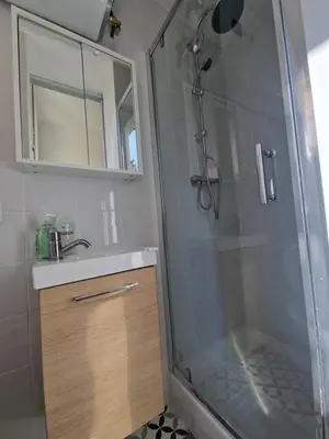 a bathroom with a shower and a sink at Studio Niçois Proche Mer in Nice