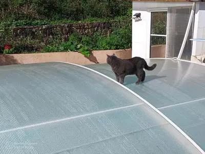 a black cat standing on top of a roof at Studio dans Villa Don Quijote Nice in Nice