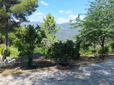 two trees in a yard with mountains in the background at Studio dans Villa Don Quijote Nice in Nice