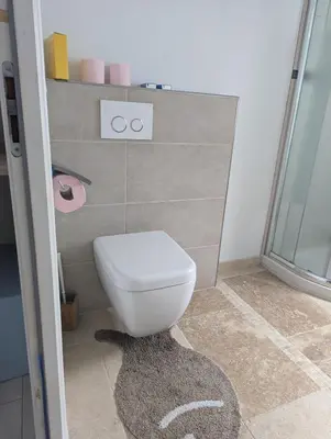 a bathroom with a white toilet and a rug at Maison L'Aloé in Nice