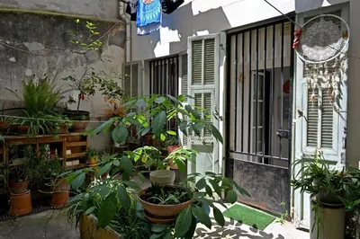 a bunch of potted plants in front of a building at Un jardin en Ville in Nice