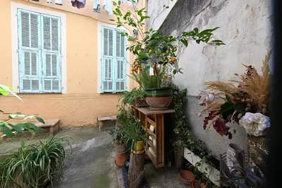 a room with a bunch of potted plants on a wall at Un jardin en Ville in Nice