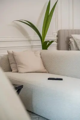 a remote control sitting on top of a couch at Appartement Belle Époque cœur de ville -AC- in Nice