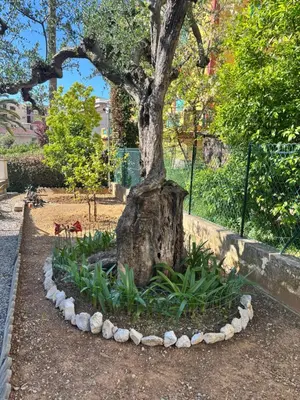 a tree in a garden with plants around it at Charmant T3 Rénové Proche Mer, Aéroport et Gare ! in Saint-Laurent-du-Var