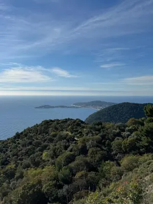 a view of the ocean from a hill with trees at Évasion Authentique à Èze, avec vue Mer in Èze