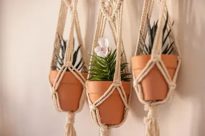 a group of potted plants hanging on a wall at 1 GAUTIER 501 - Studio boheme - Quartier du port in Nice