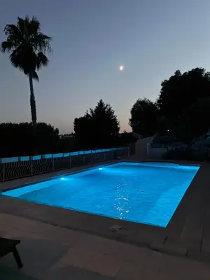 a blue swimming pool at night with a palm tree at Villa Gloria Nouvel Hôte in Saint-Jeannet