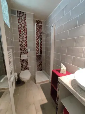 a bathroom with a toilet and a shower and a sink at Studio vue mer in Cagnes-sur-Mer