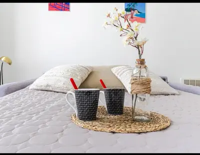 a tray with two cups and a vase with flowers on a bed at Résidence le Paga in Nice