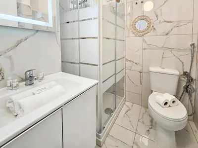 a white bathroom with a toilet and a shower at New Big Flat 8 Pers AC WiFi in Nice