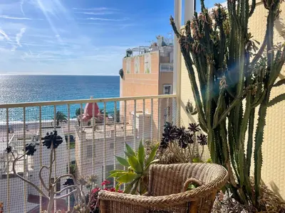 a view of the ocean from a balcony with a cactus at Paradise 4 Pers Vista Mare Wifi AC in Nice