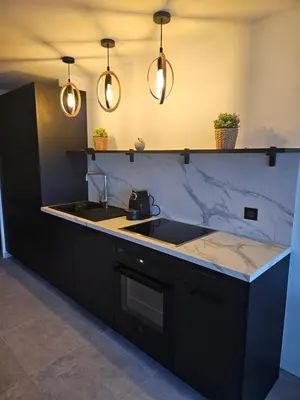 a kitchen with black cabinets and a sink and lights at L'évidence in Nice