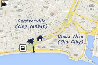 a map of a city center with a palm tree at 