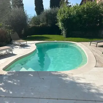 L'olivier