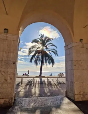 an archway with a palm tree in front of the beach at Syrah - Cozy Apartment in Nice