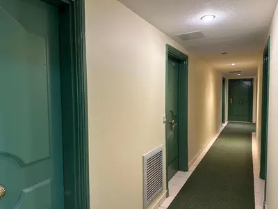 a hallway with green doors and a green carpet at Stunning Studio Rue France Promenade des Anglais in Nice