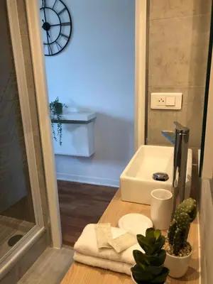 a bathroom with a sink and a table with towels and a cactus at Studio au cœur de Nice lumineux in Nice