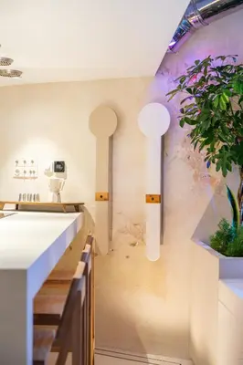 a kitchen with a sink and a potted plant at Studio29 in Nice