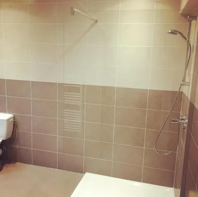 a bathroom with a shower and a toilet at Villa Serafina Apartements in Nice