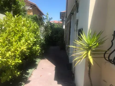 an alley with plants next to a building at Villa Mon Rêve Apartements in Nice