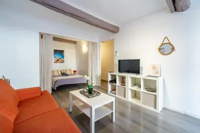 a living room with a couch and a tv at Vieux-Nice 2P climatisé Balcon in Nice