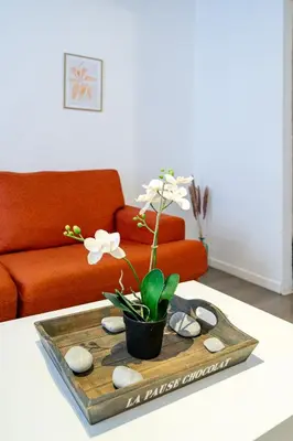 a tray with a potted plant on a table at Vieux-Nice 2P climatisé Balcon in Nice