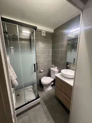 a bathroom with a shower and a toilet and a sink at Les Magnolias 06 in Nice