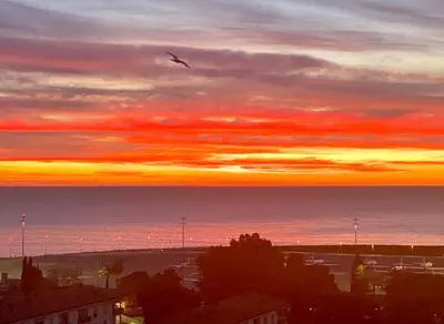 a bird flying in the sky at sunset at Votre COCON Niçois Appart Vue Mer in Nice