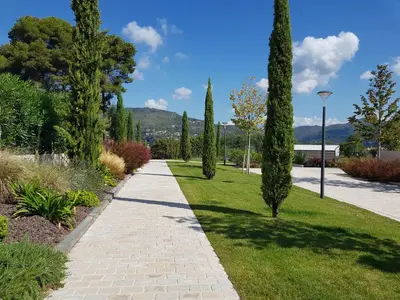 a walkway in a park with trees and grass at Laconsolate in Nice