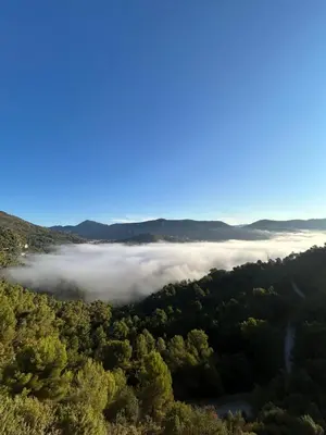 an aerial view of a valley of clouds and trees at Gîte Le Tilleul in Aspremont
