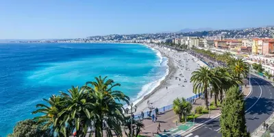 a view of a beach with palm trees and the ocean at Appartement Centre Ville de Nice in Nice