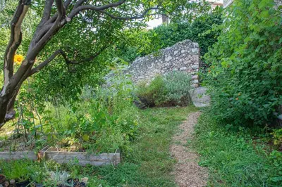 a garden with an old stone wall and a tree at Village house surrounded by greenery in La Gaude