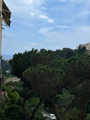 a car parked on top of a hill with trees at Jolie appartement à Nice in Nice