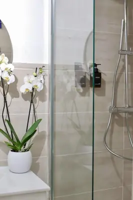 a bathroom with a shower with a vase of flowers at Magnifique appartement proche mer in Nice