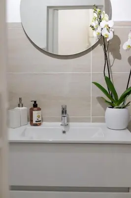 a bathroom sink with a mirror and a plant at Magnifique appartement proche mer in Nice