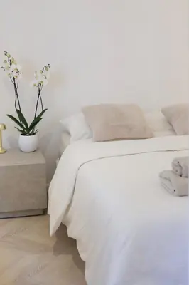 a bedroom with a white bed and a potted plant at Magnifique appartement proche mer in Nice