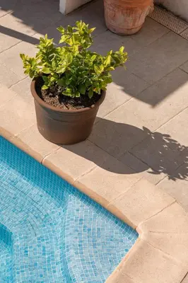 a plant in a pot next to a swimming pool at Bas de villa plus piscine Vue époustouflante in Villefranche-sur-Mer