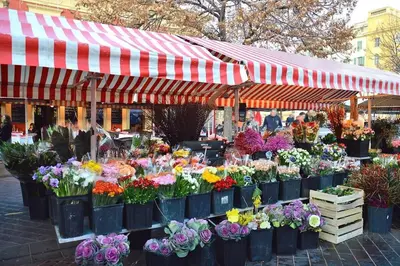 a flower market with many different types of flowers at Charmant studio Vieux Nice in Nice