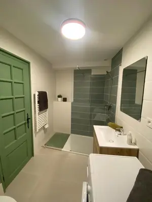 a bathroom with a green door and a sink at Cosy Appartement Vieux Nice in Nice