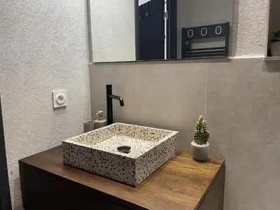 a bathroom with a sink with a cactus on a counter at Appartement cozy au coeur de Nice in Nice