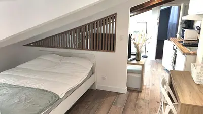 a bedroom with a bed and a table in a room at Gubernatis centre ville in Nice