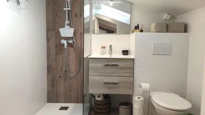 a bathroom with a shower with a toilet and a sink at Gubernatis centre ville in Nice