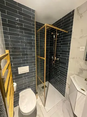 a bathroom with a shower and a toilet and a sink at Appartement 2 chb 1 SDB Nice - 32 in Nice