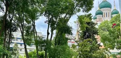 a view of a mosque through the trees at Studio Centre-Ville Nice in Nice