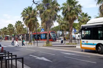 two buses are parked on a street with palm trees at Appartement à 5 min de la plage Soleil & Confort in Nice