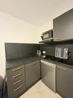 a kitchen with stainless steel appliances and a microwave at appartement 1 pégurier in Nice
